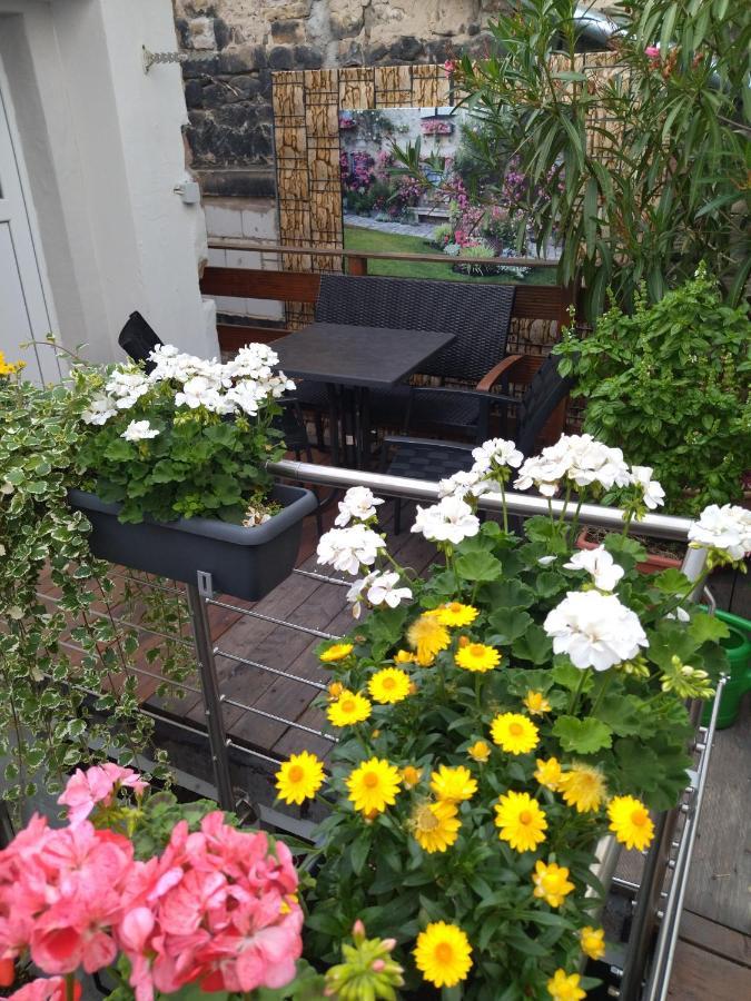 Ferienhaeuschen Am Heumarkt 다이데스하임 외부 사진